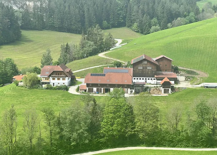 Maierhofer فيشباخ